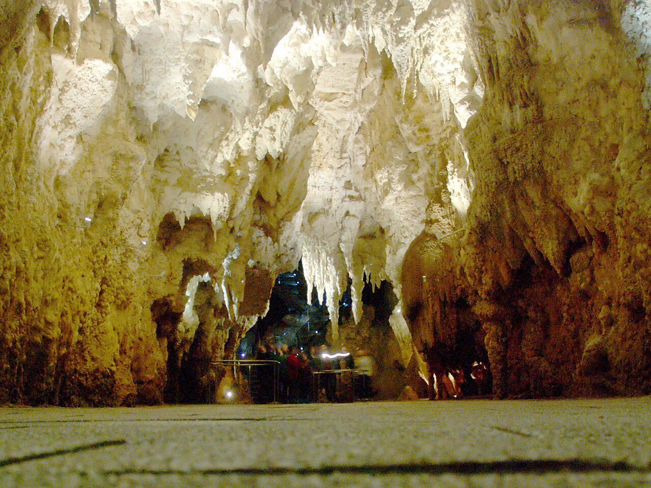 The Waitomo Glowworm Cave interior, a limestone cavern of stalactites and flowstone where Arachnocampa larvae hang their luminous silk lines from the ceiling