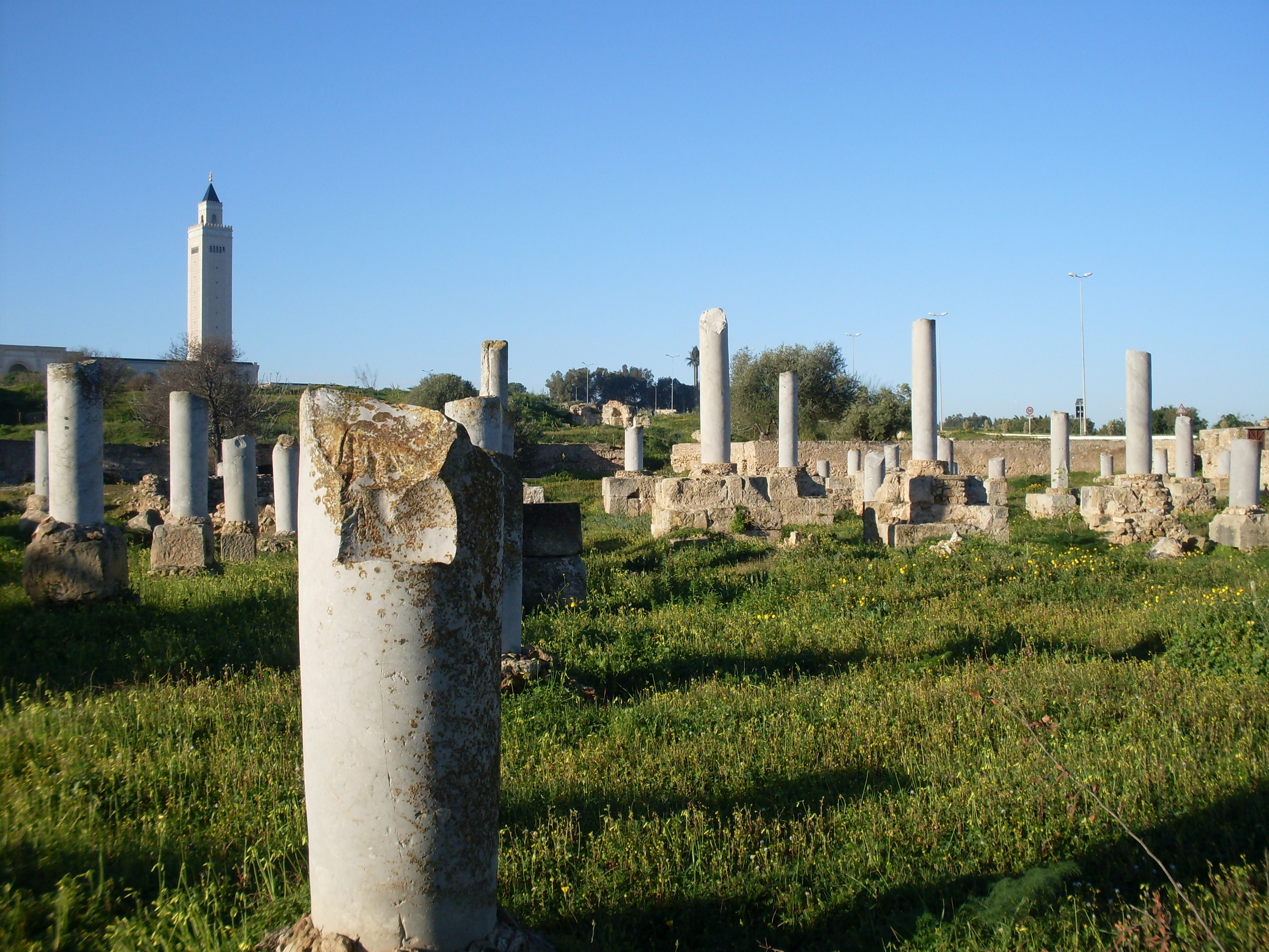 Ruined columns of a large early Christian basilica in Carthage, with a modern minaret in the distance